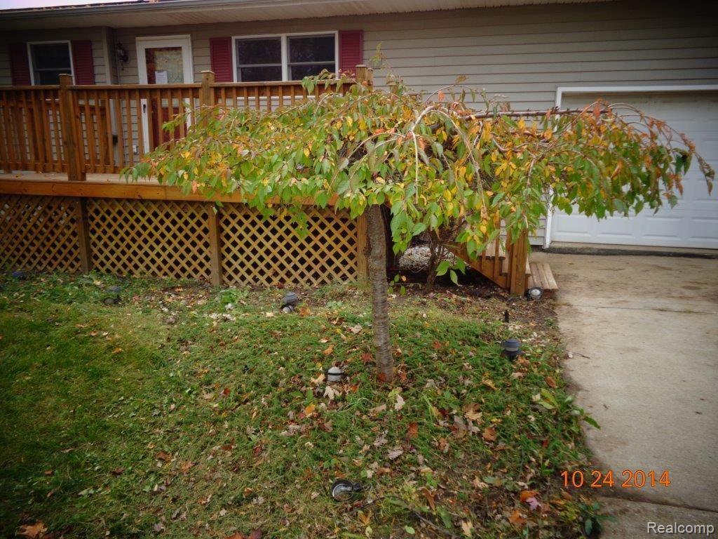 34450 Pratt Road Memphis, MI 48041 - Photo 3 of 17 Pratt (7).jpg