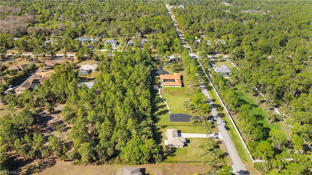 1580 16th Street Northeast Naples, FL 34120 - Photo 6 of 50 a view of a yard with flower plants