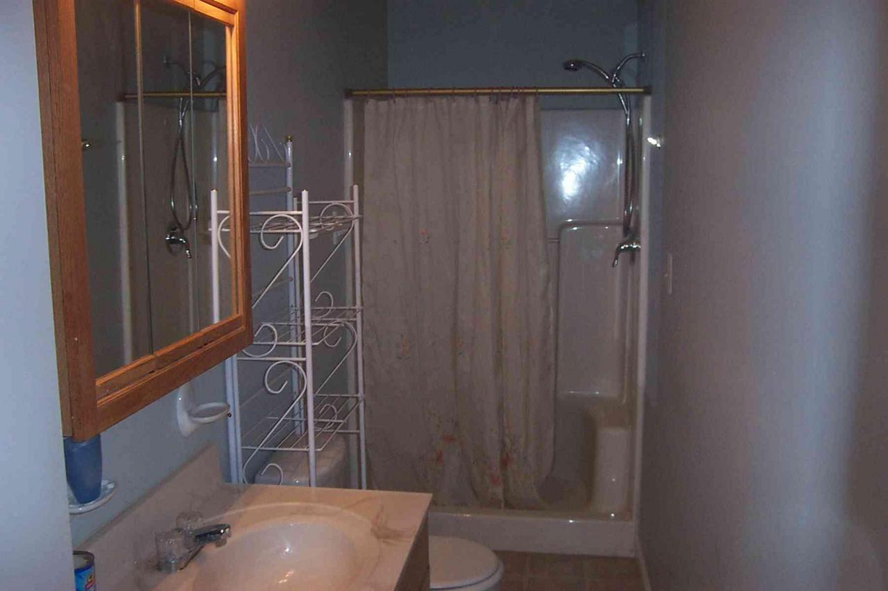 1706 Valley Road Effort, PA 18330 - Photo 10 of 15 a bathroom with a shower and a sink