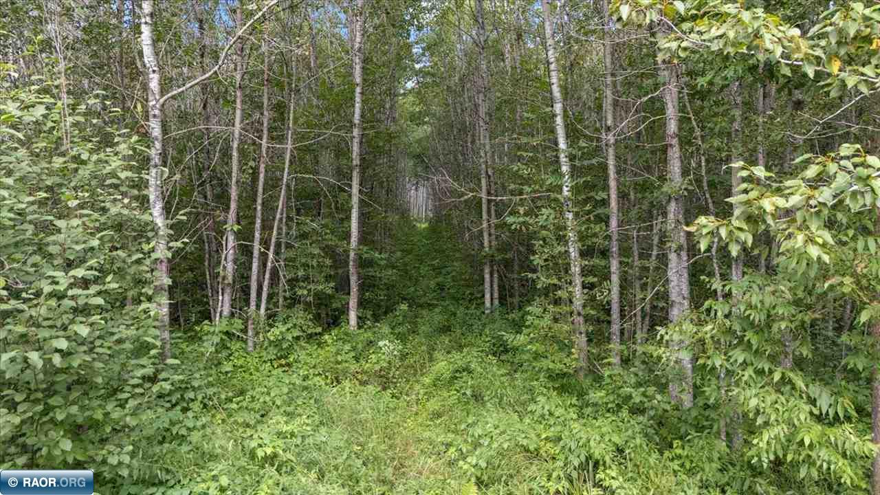 4901 Samuelson Road Angora, MN 55703 - Photo 6 of 25