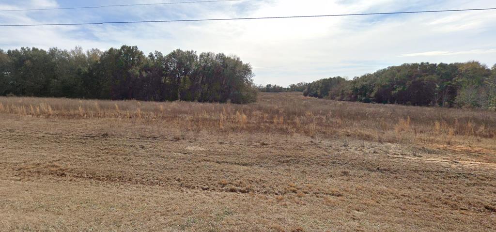 0 Hawkins Town Road Newton, GA 39870 - Photo 2 of 2 Gallery Image 2