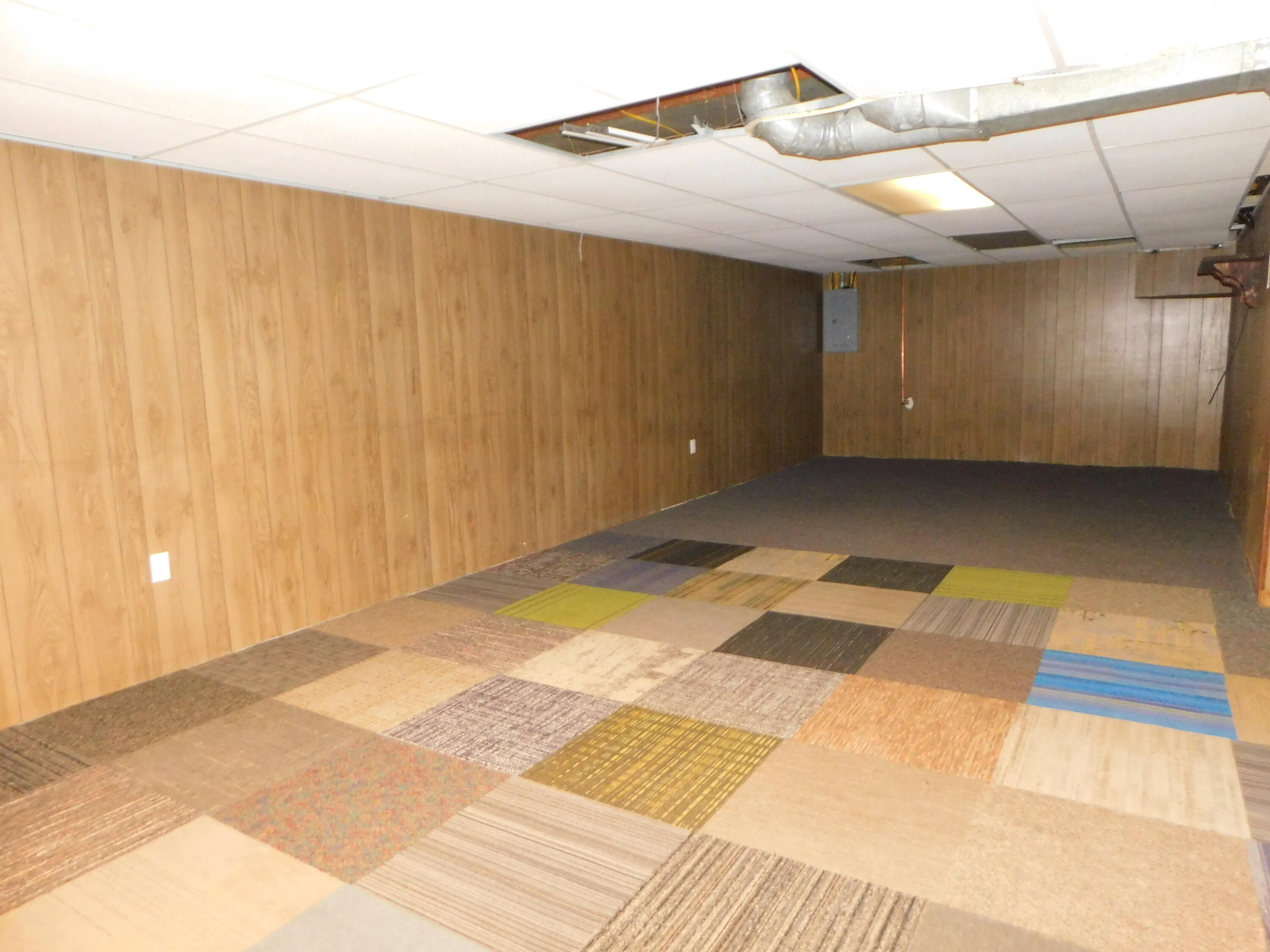 109 Cedar Street Decatur, MI 49045 - Photo 18 of 28 finished basement