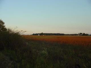 4 Eggert Road Monroe, MI 48161 - Photo 4 of 7 950476-3.JPG