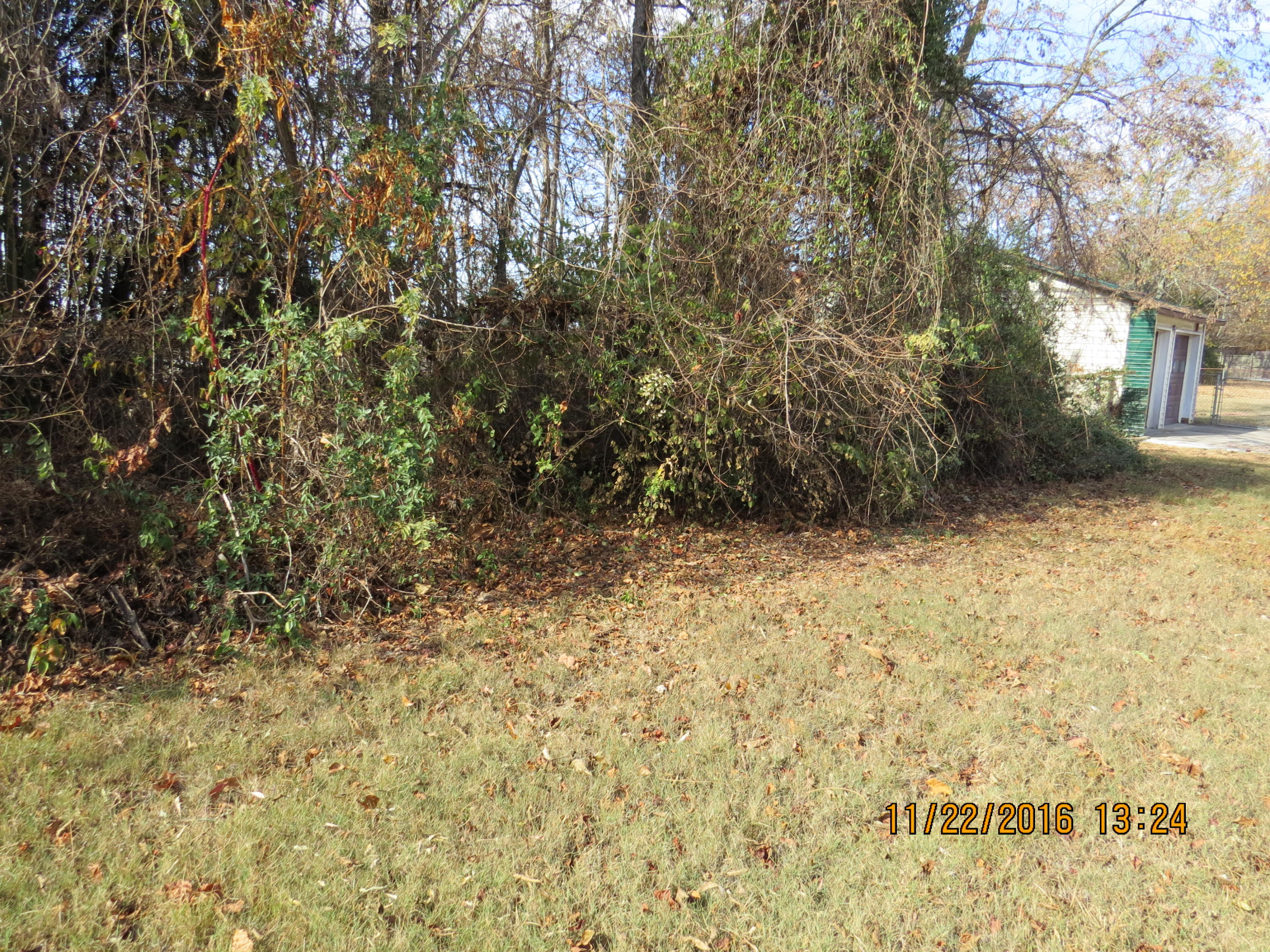 3540 Wexgate Road Knoxville, TN 37931 - Photo 6 of 17 Back Yard