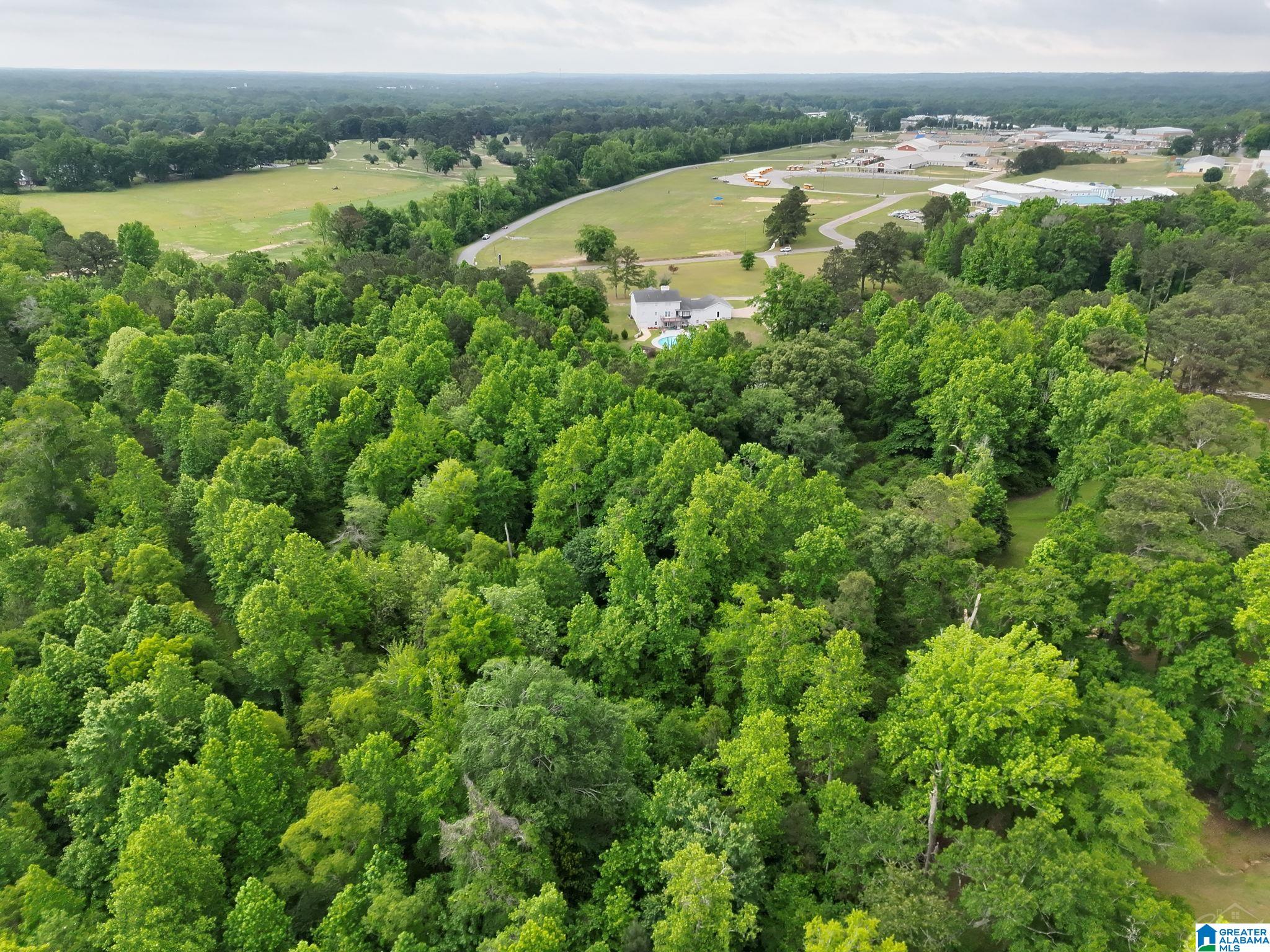 0 Temple Road, Unit 1 Clanton, AL 35045 - Photo 8 of 13