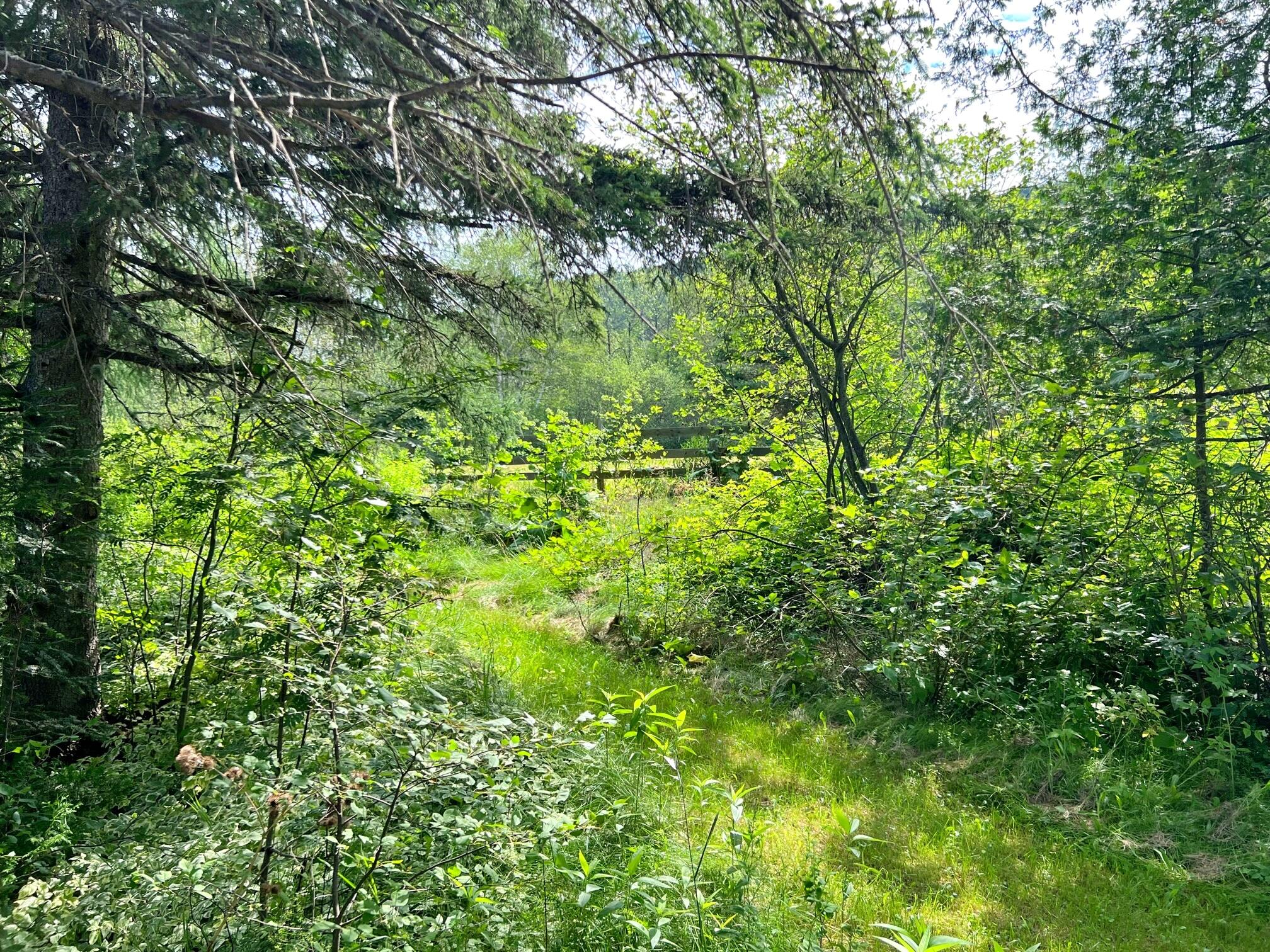 1003 Frenchville Road Fort Kent, ME 04743 - Photo 12 of 54 IMG_1398