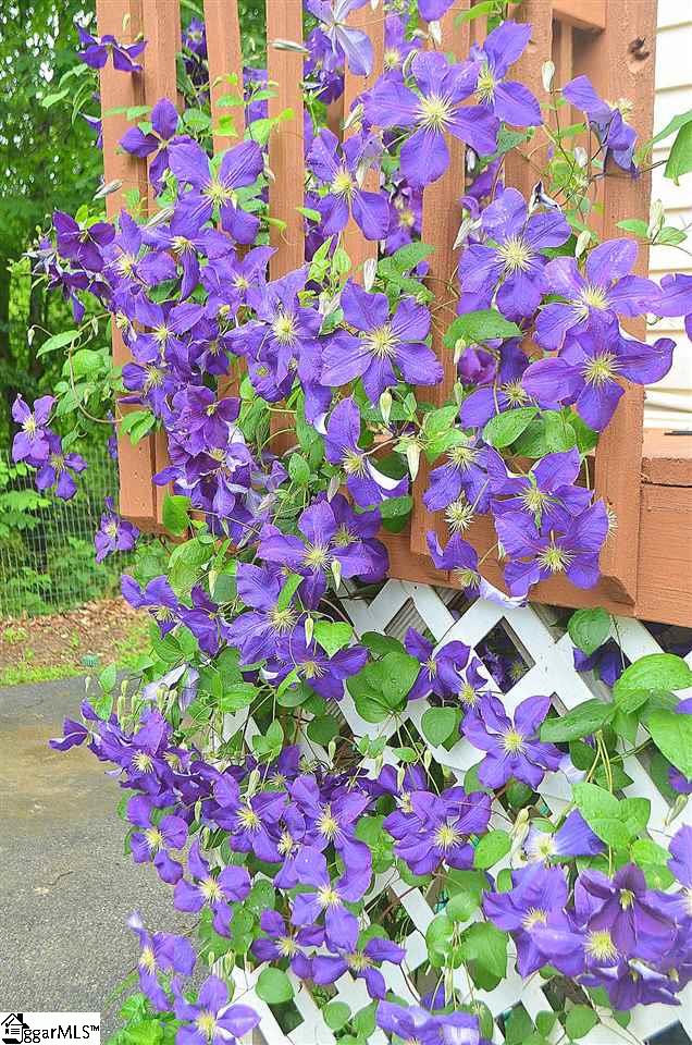 301 Cedar Falls Road Fountain Inn, SC 29644 - Photo 23 of 32 Gallery Image 23