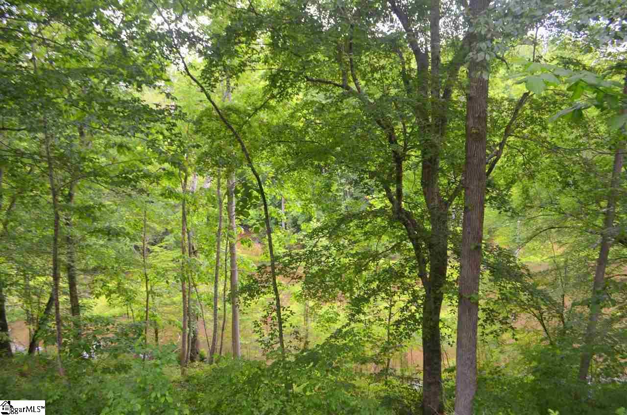 301 Cedar Falls Road Fountain Inn, SC 29644 - Photo 24 of 32 Gallery Image 24