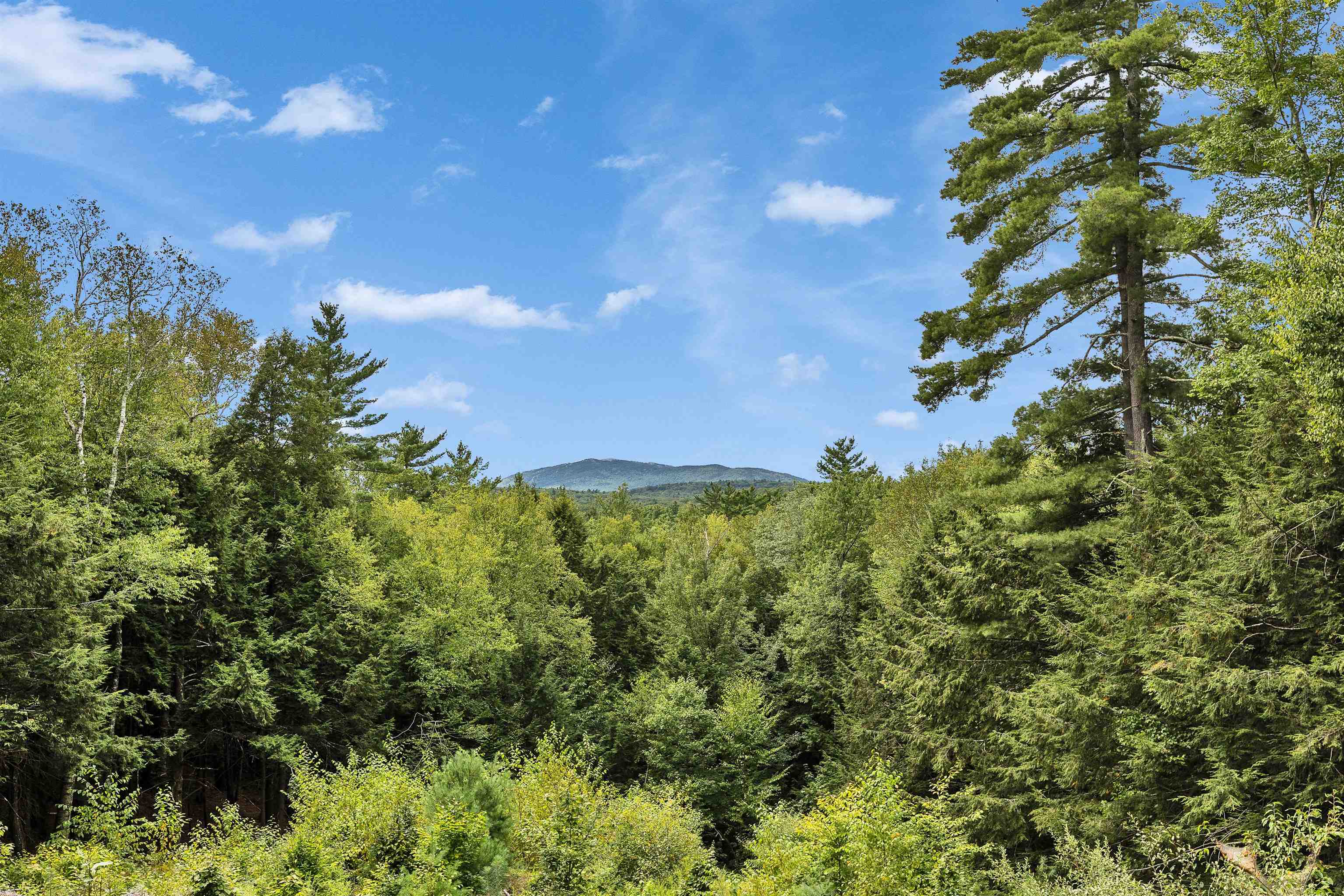 213 Brush Brook Road Dublin, NH 03444 - Photo 49 of 50