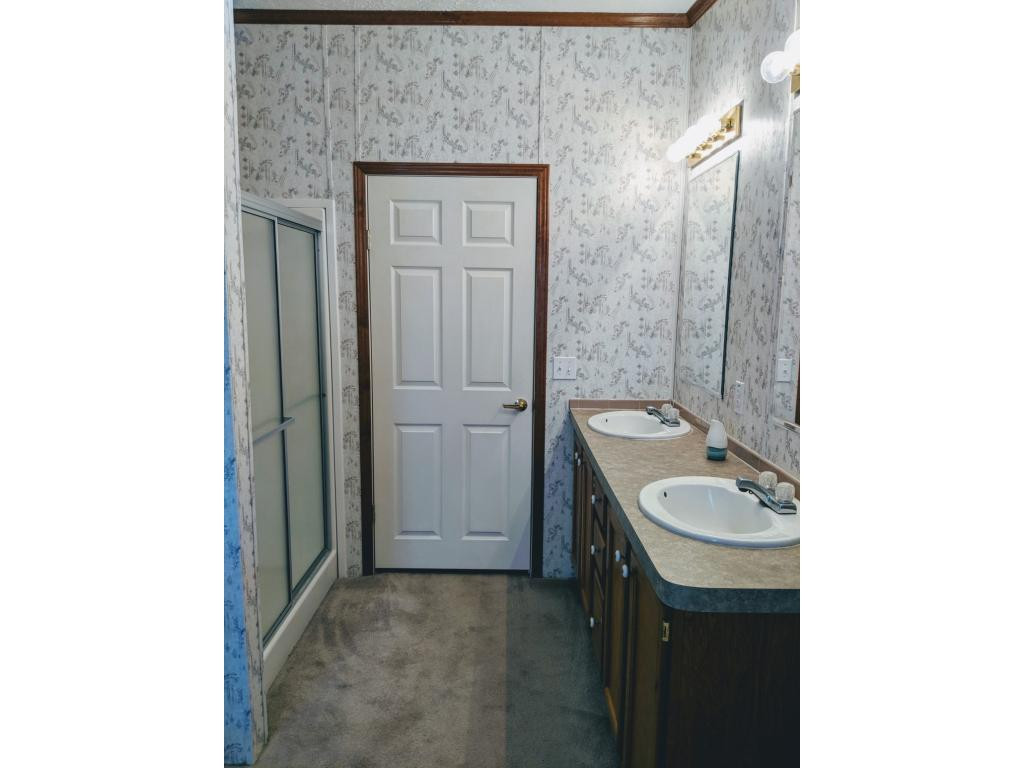 1645 Old Snapps Ferry Road Chuckey, TN 37641 - Photo 8 of 18 Separate Shower