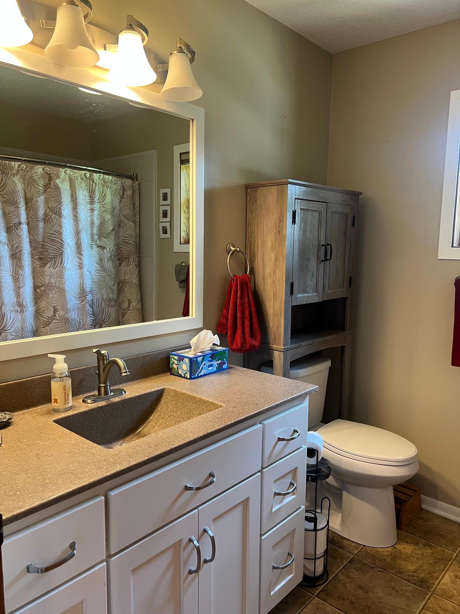 413 South Swift Avenue Litchfield, MN 55355 - Photo 37 of 58