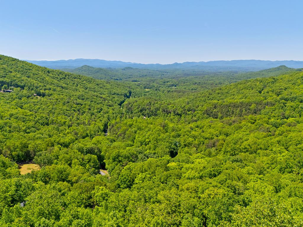 124 U Drive Road Murphy, NC 28906 - Photo 48 of 49