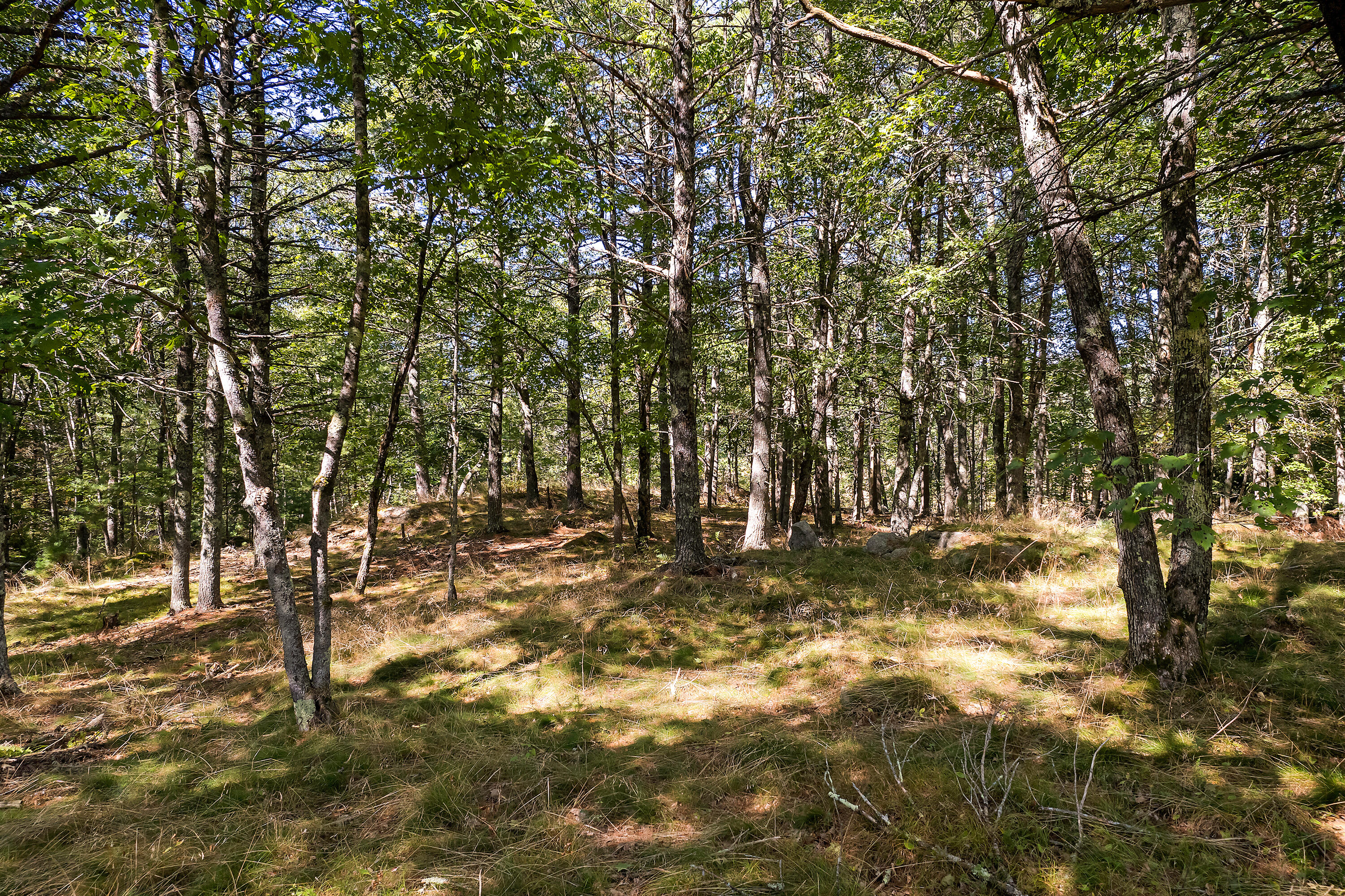 66 Freda's Lane Arrowsic, ME 04530 - Photo 22 of 57 66 Freda's Ln_122