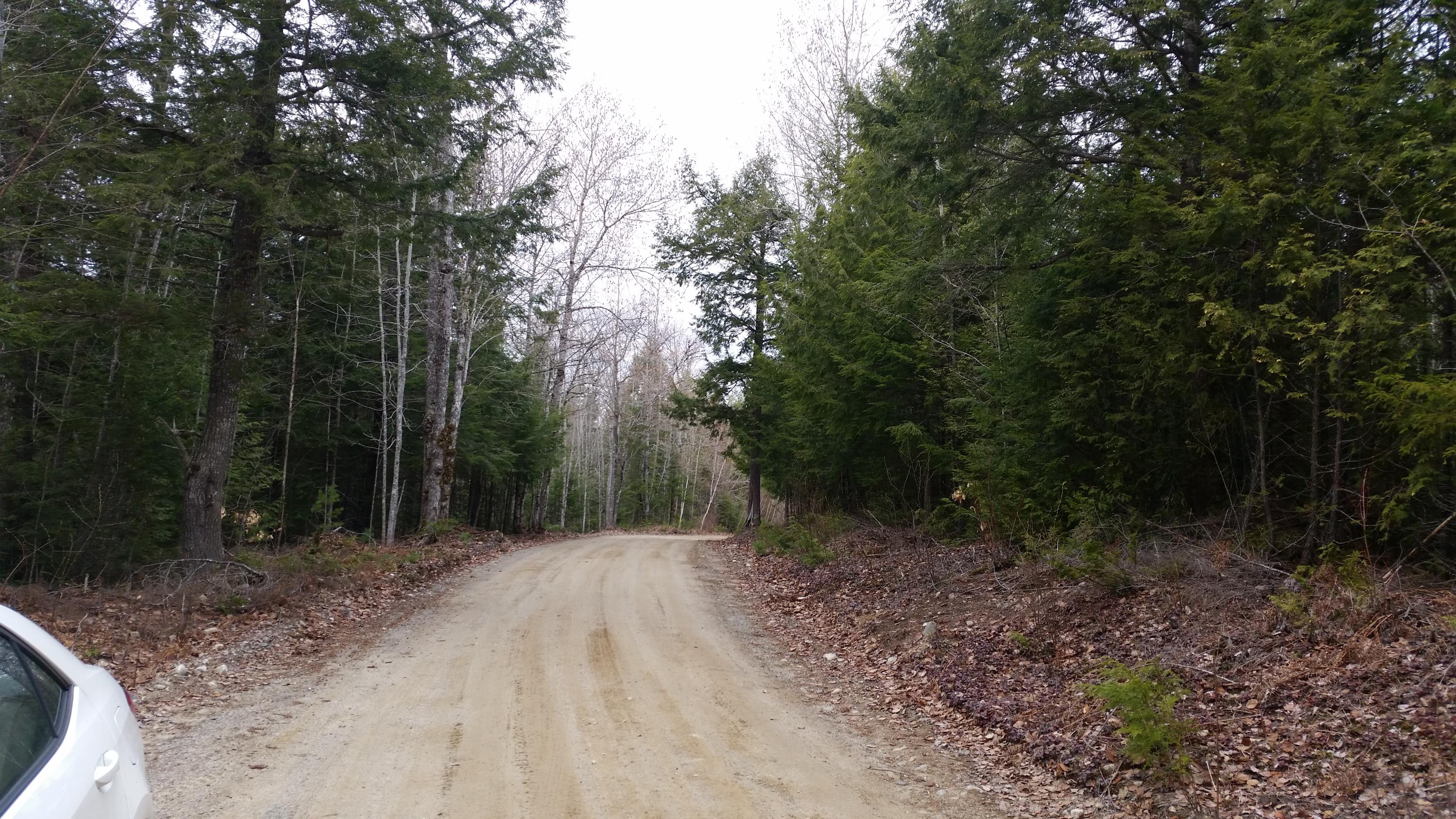 265 East Shore Road Burlington, ME 04417 - Photo 3 of 22 3