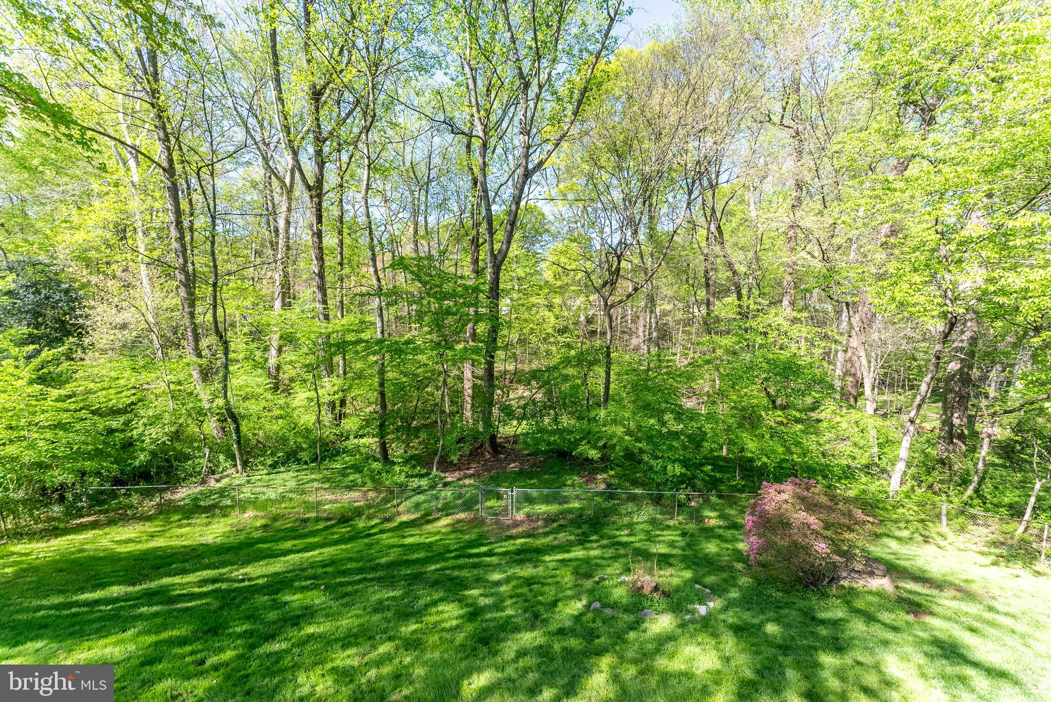 5610 Flag Run Drive Springfield, VA 22151 - Photo 2 of 30 Amazing Yard