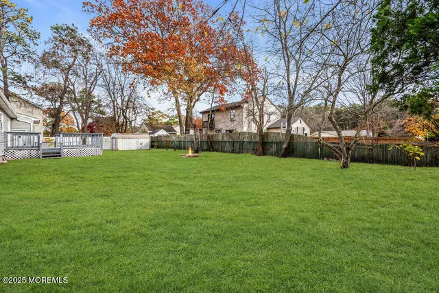 a view of a park with large trees