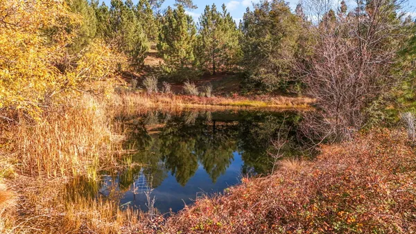 $449,800 | 5750 Woodcutter's Way, Manton, CA 96059