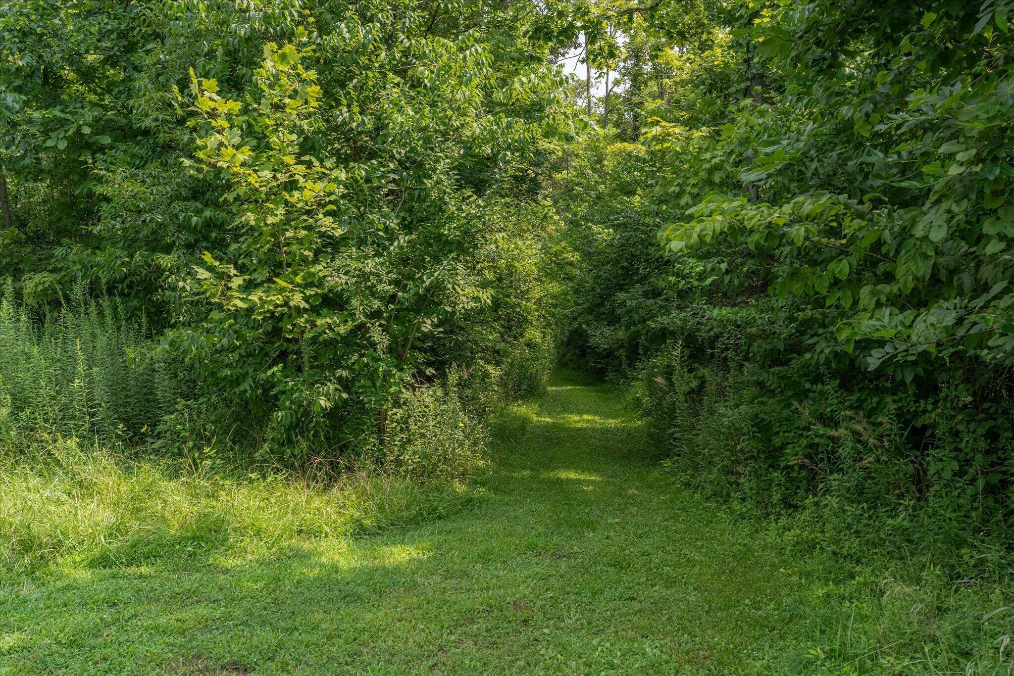 833 South State Rte 72 Sabina, OH 45169 - Photo 38 of 46 45-833SOH73-013