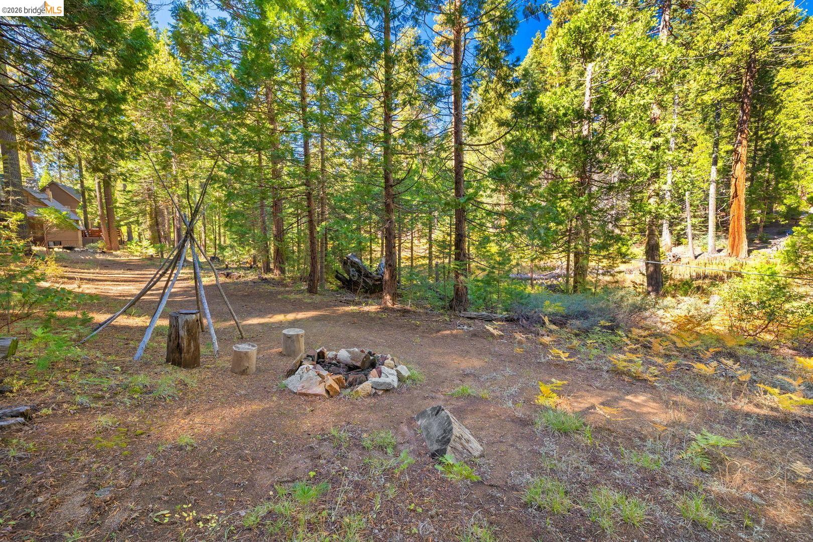 105 Pinecrest Lake Road Pinecrest, CA 95364 - Photo 35 of 35