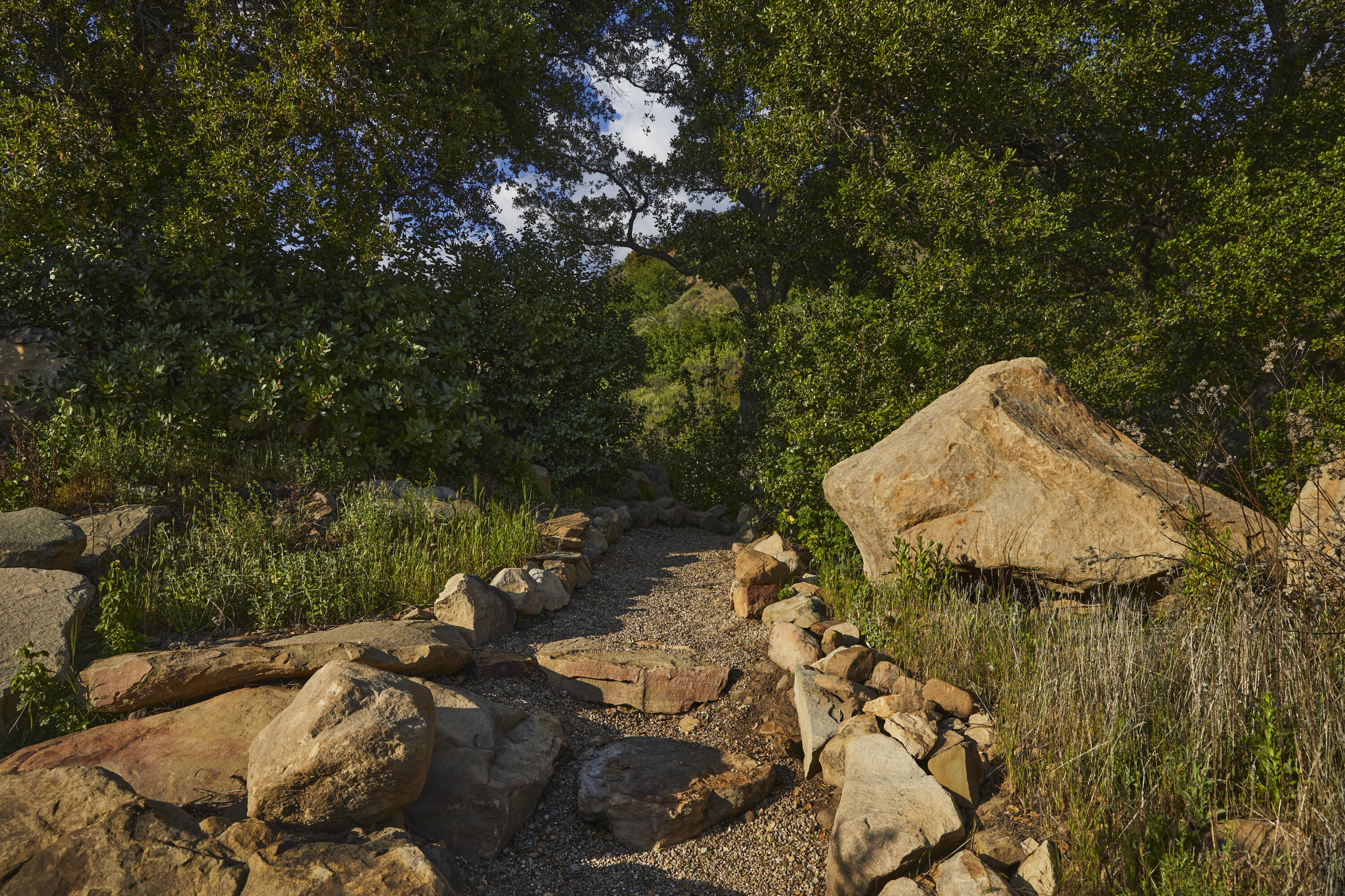 12179 Koenigstein Road Santa Paula, CA 93060 - Photo 14 of 43 a backyard of a house with lots of green space