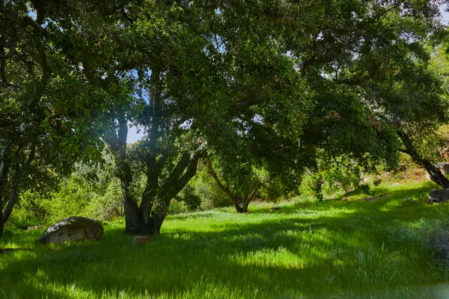 $4,575,000 | 12179 Koenigstein Road, Santa Paula, CA 93060