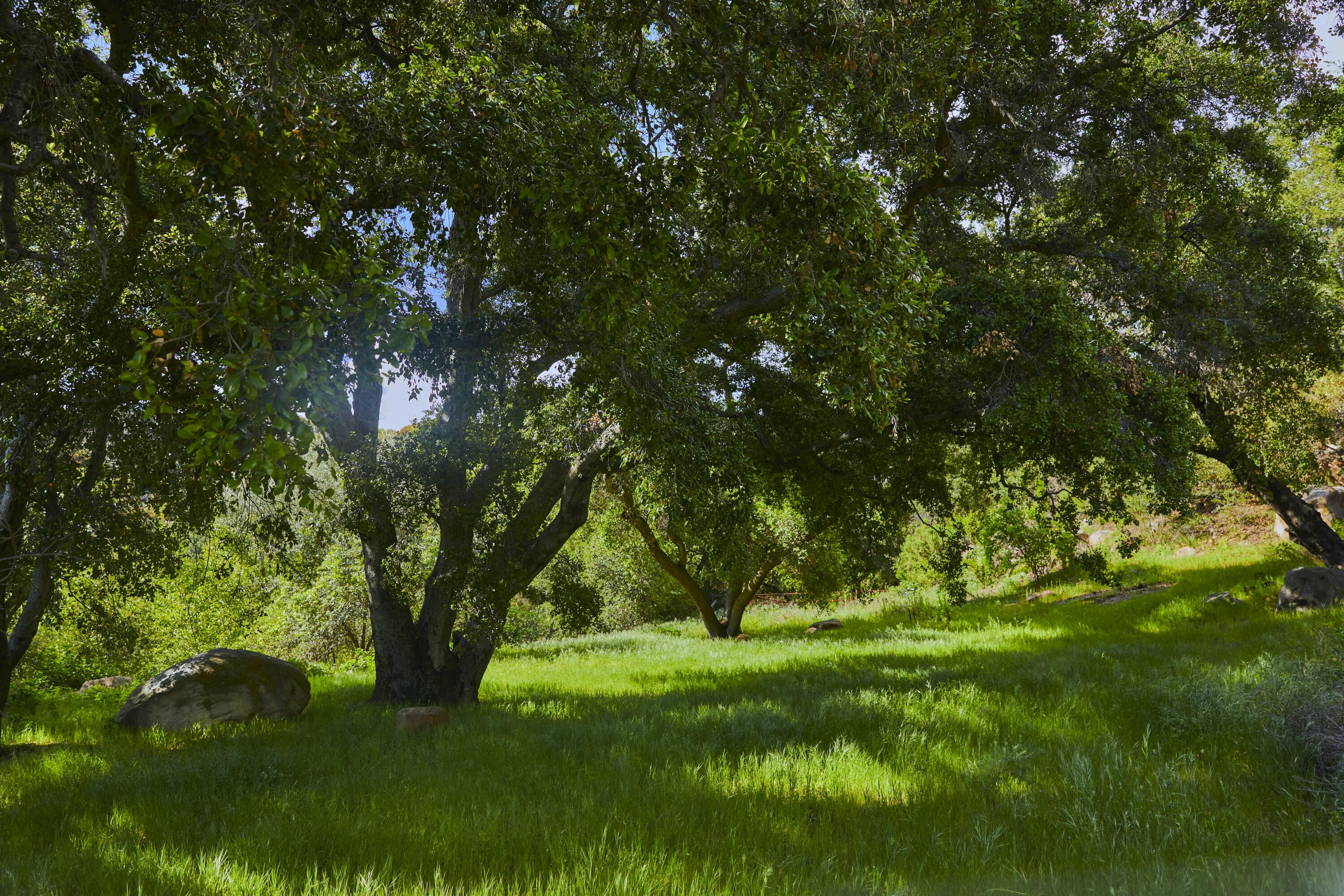 12179 Koenigstein Road Santa Paula, CA 93060 - Photo 40 of 43 a view of outdoor space with deck and yard