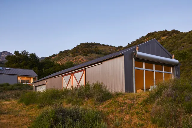 a view of a tree in a yard