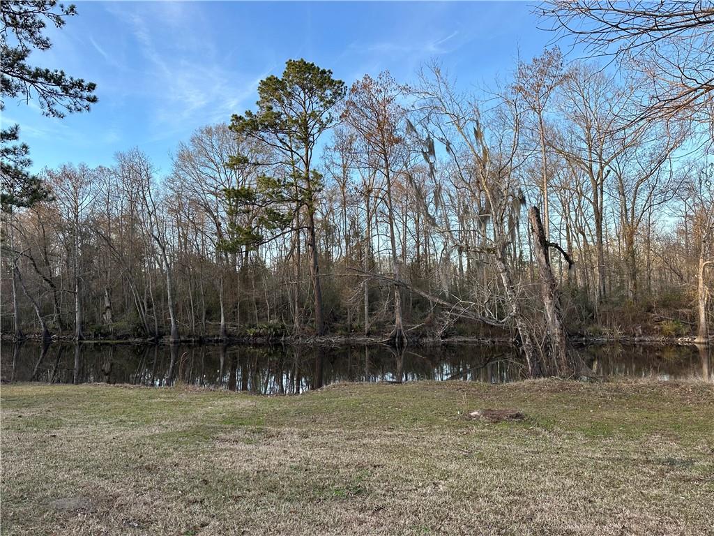 22171 Perrin Ferry Road North Springfield, LA 70462 - Photo 3 of 25