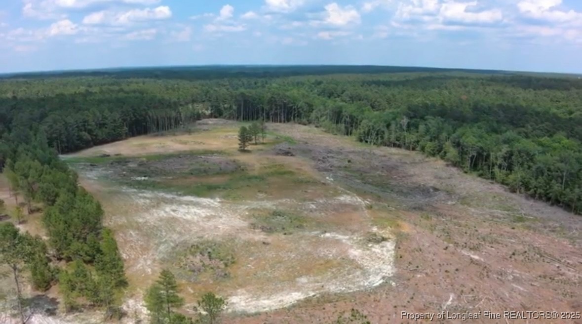 Tract #2 Lakebay Road Vass, NC 28394 - Photo 2 of 5