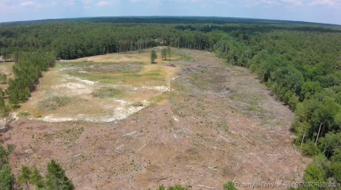 Tract #2 Lakebay Road Vass, NC 28394 - Photo 3 of 5