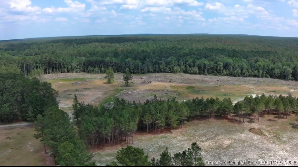 Tract #2 Lakebay Road Vass, NC 28394 - Photo 4 of 5