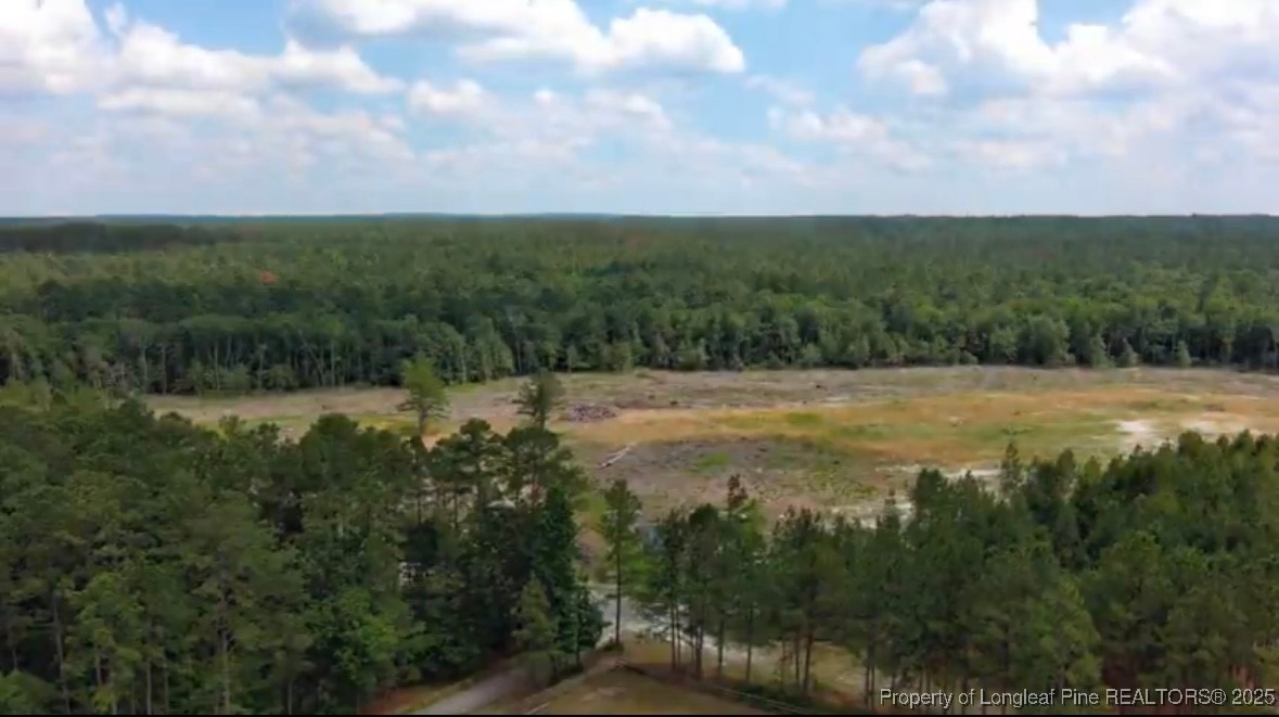 Tract #2 Lakebay Road Vass, NC 28394 - Photo 5 of 5