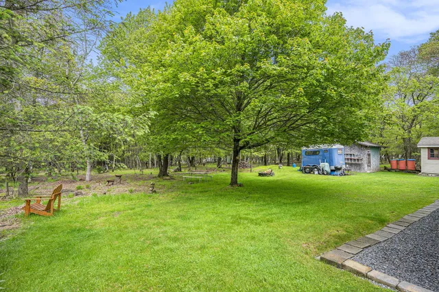 a huge green field with lots of trees