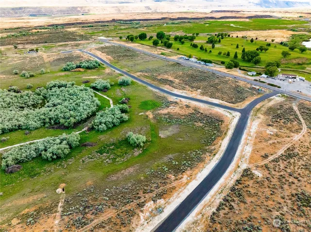 a view of a back yard of a building