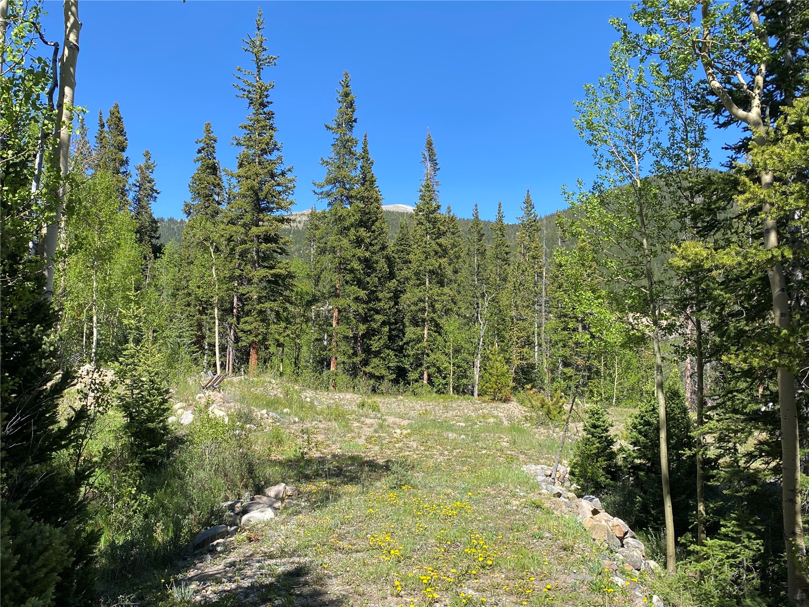 522 Quartzville Road Alma, CO 80420 - Photo 23 of 46