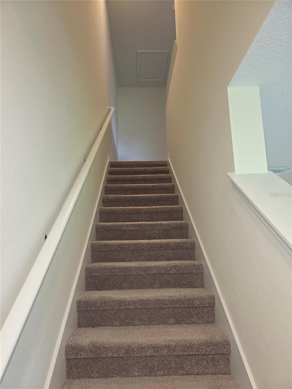 32181 Turtle Grace Loop Wesley Chapel, FL 33545 - Photo 18 of 37 Gallery Image 18