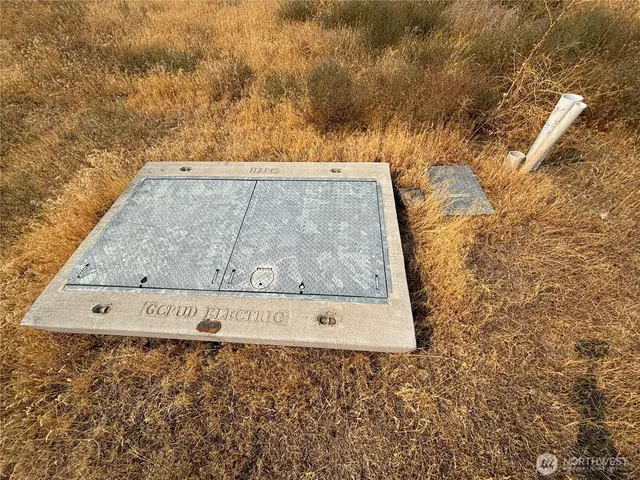 view of a dry yard with wooden floor