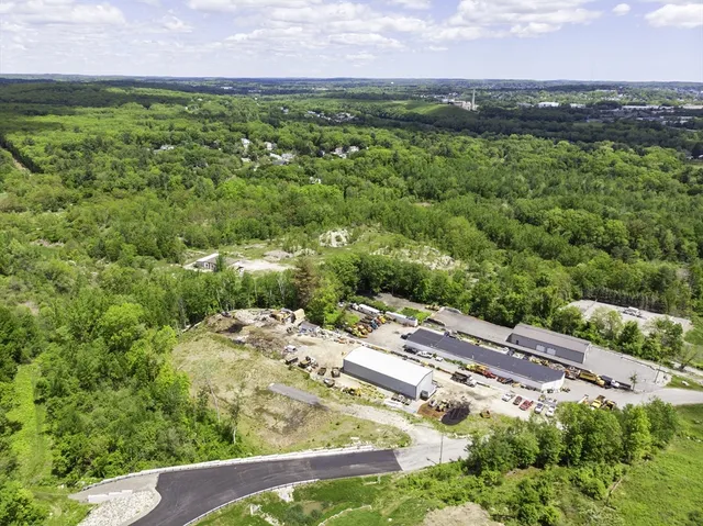 a view of a city with lush green forest