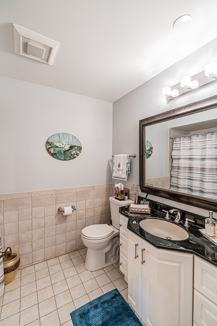 159 Harding Avenue Des Plaines, IL 60016 - Photo 24 of 44 a spacious bathroom with a sink a mirror a toilet and a window