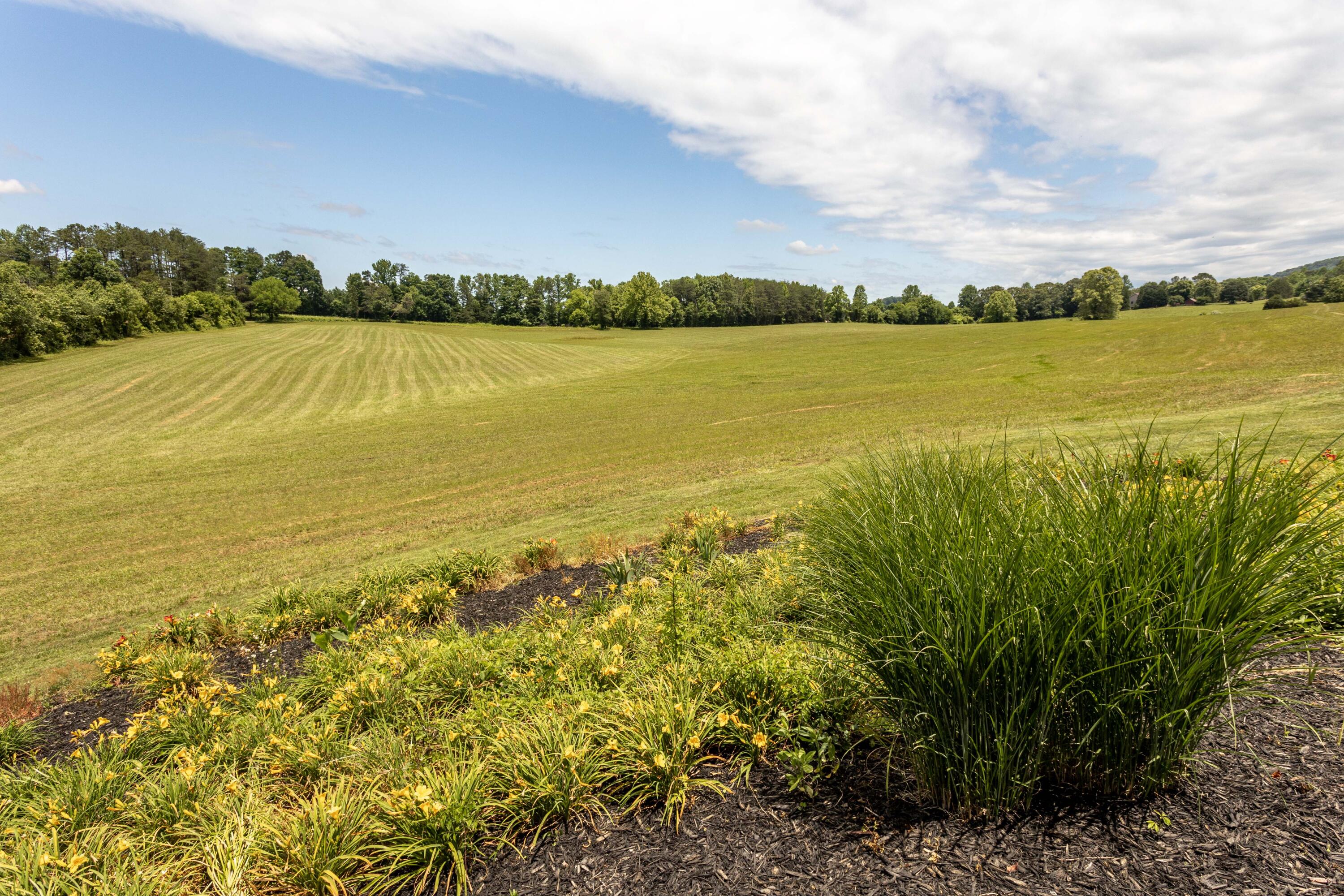 1100 Belltown Road Tellico Plains, TN 37385 - Photo 50 of 77 050