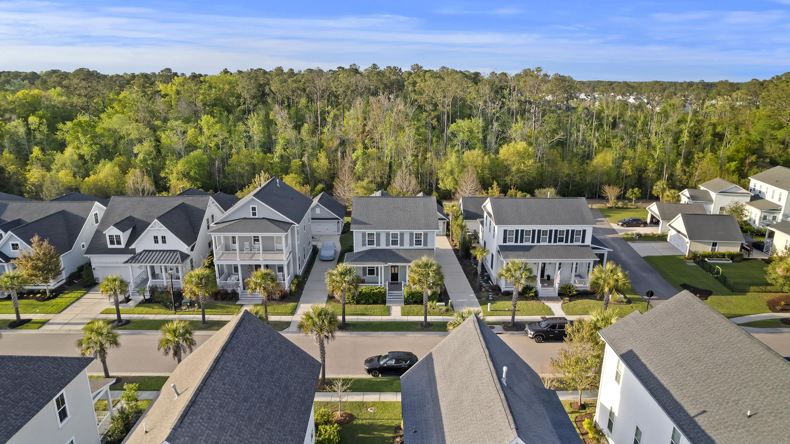 3586 Backshore Drive Mount Pleasant, SC 29466 - Photo 44 of 57 Aerial