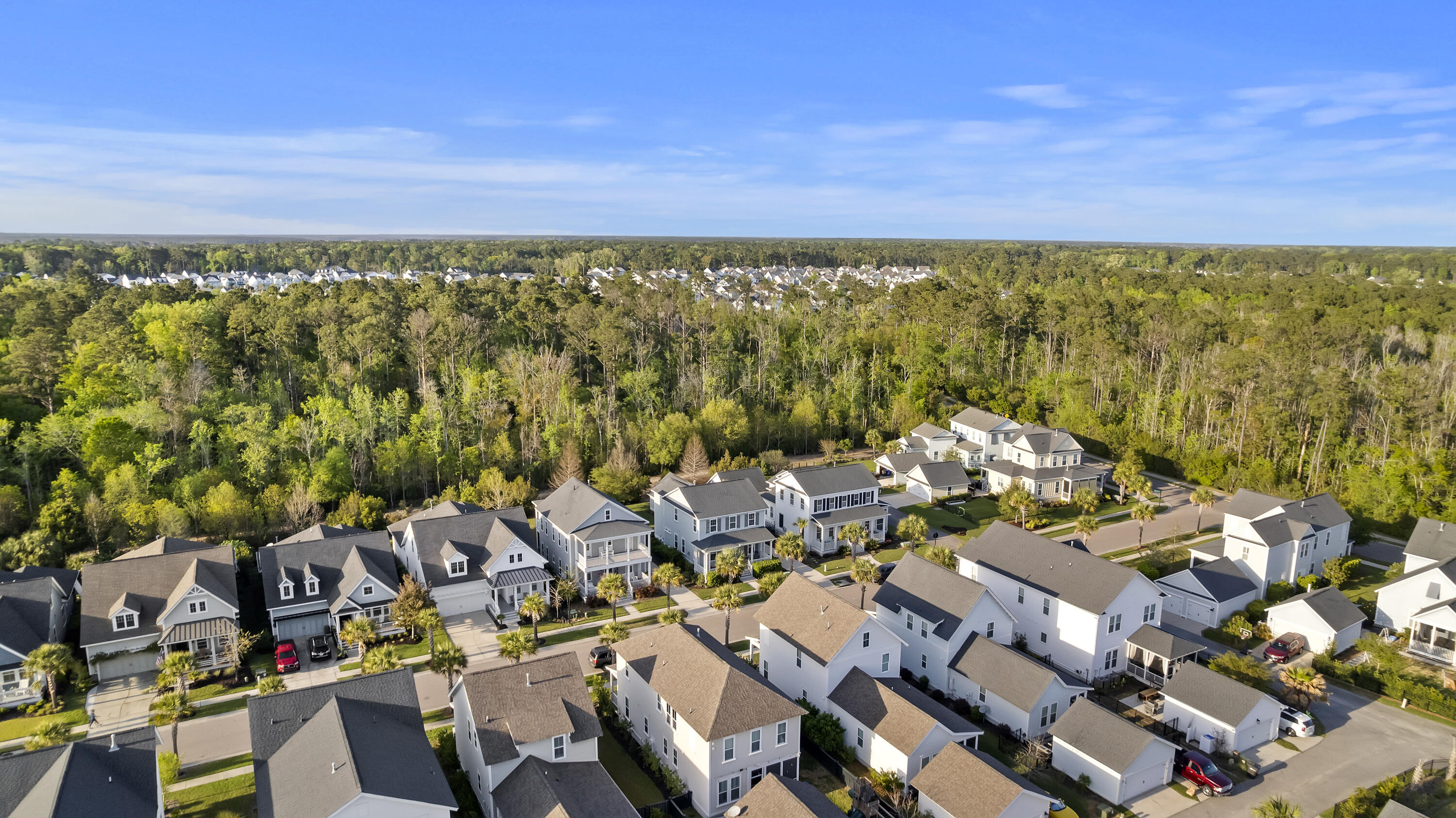 3586 Backshore Drive Mount Pleasant, SC 29466 - Photo 45 of 57 Aerial