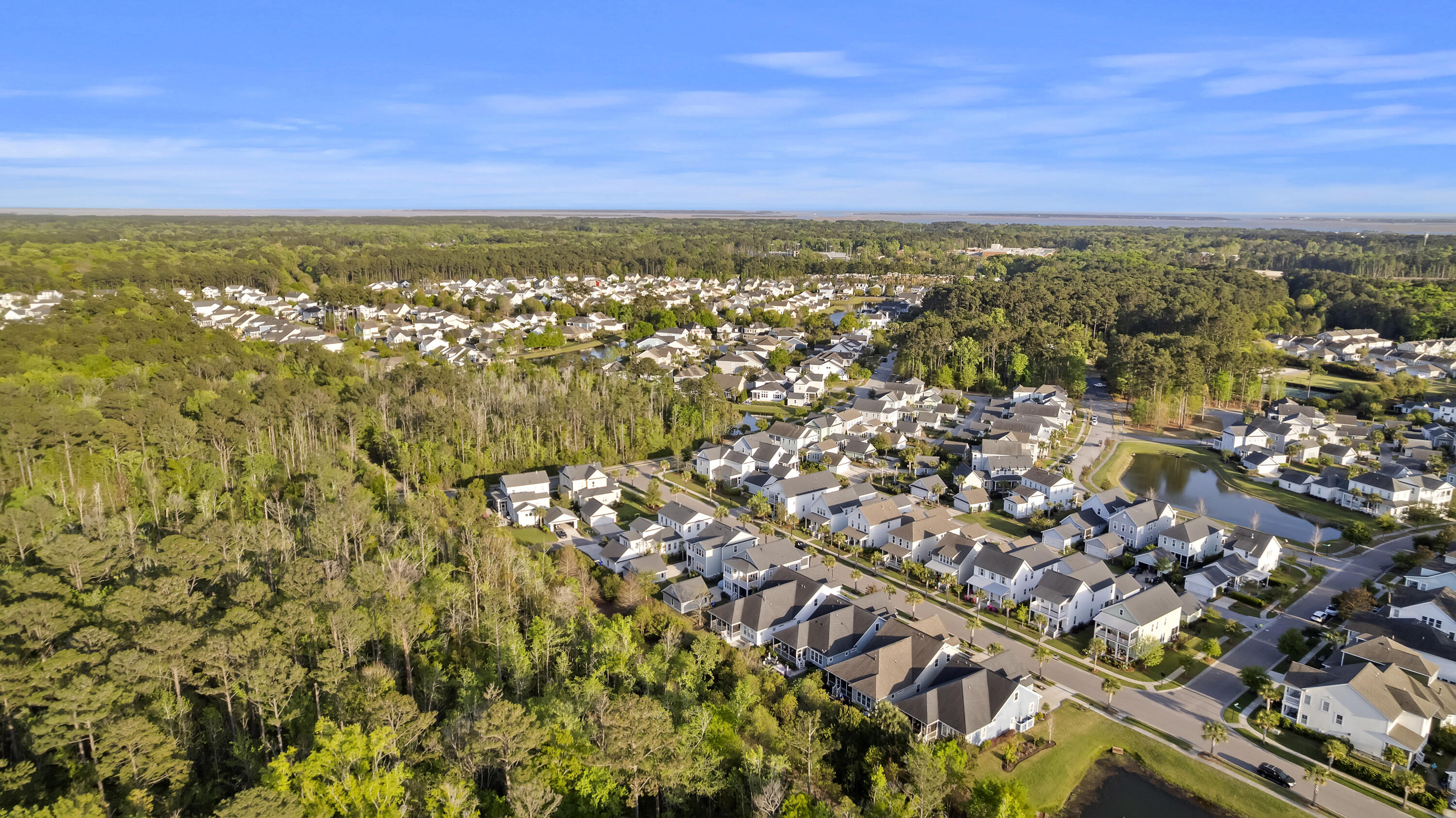 3586 Backshore Drive Mount Pleasant, SC 29466 - Photo 46 of 57 Aerial