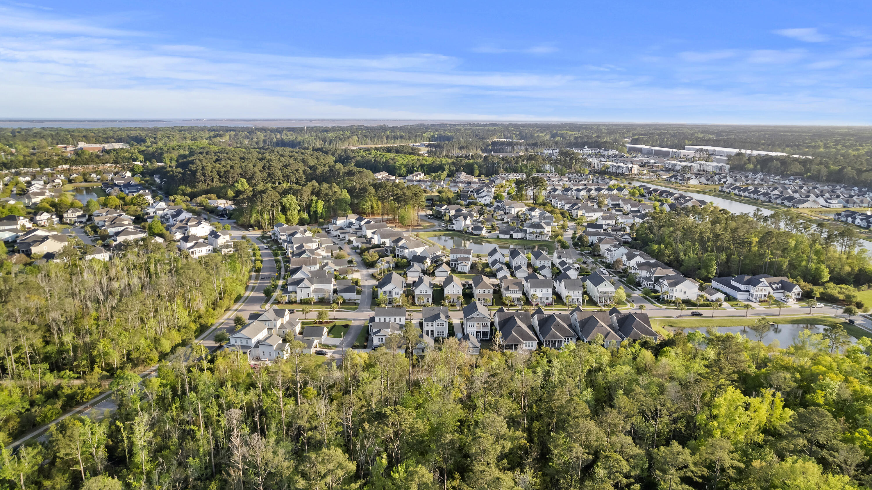 3586 Backshore Drive Mount Pleasant, SC 29466 - Photo 47 of 57 Aerial