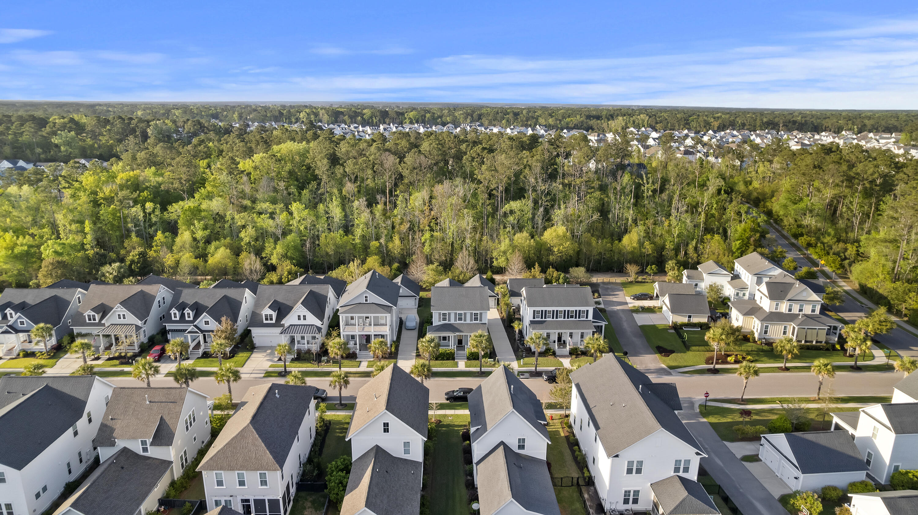 3586 Backshore Drive Mount Pleasant, SC 29466 - Photo 48 of 57 Aerial