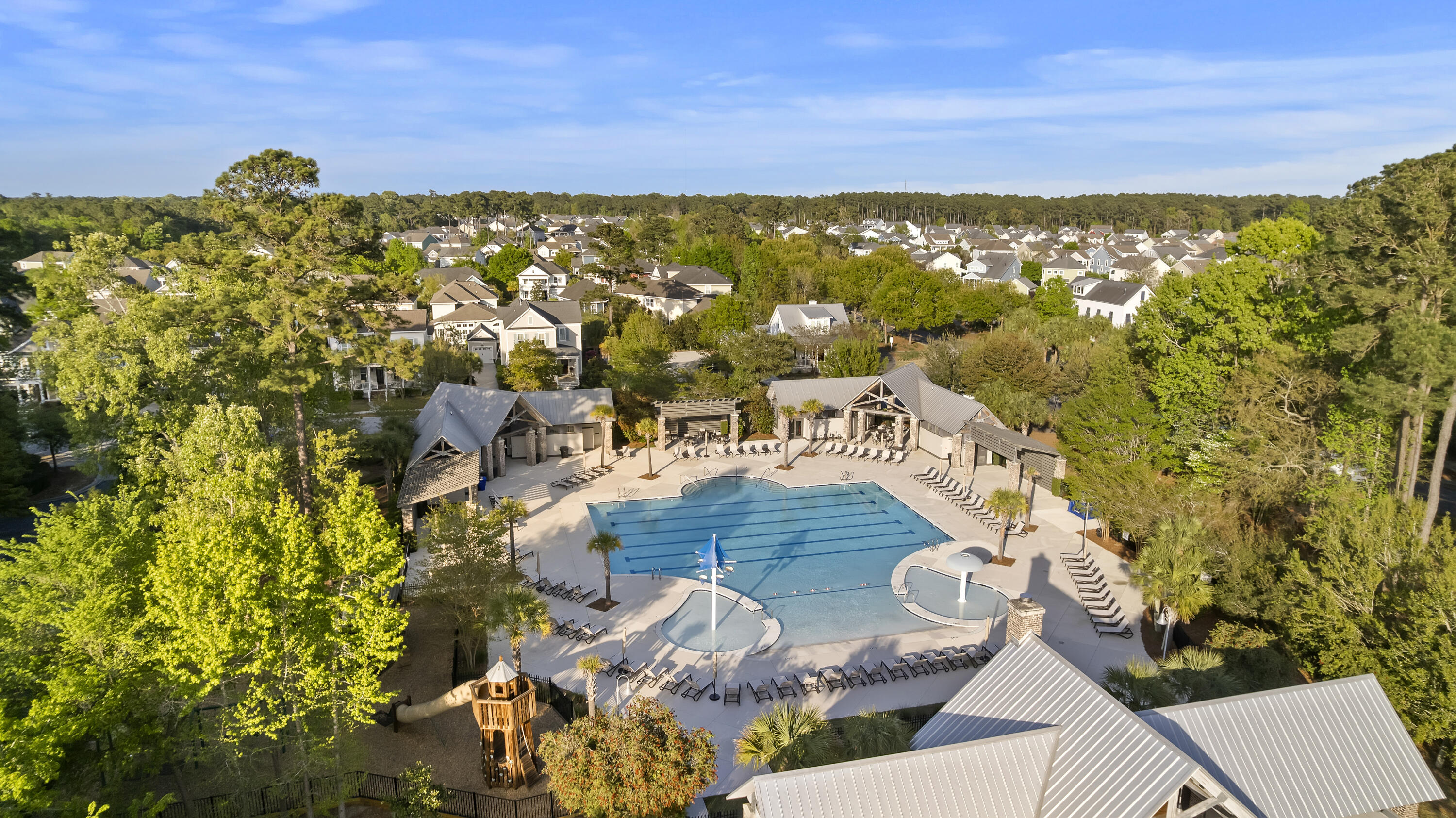 3586 Backshore Drive Mount Pleasant, SC 29466 - Photo 51 of 57 Community Pool