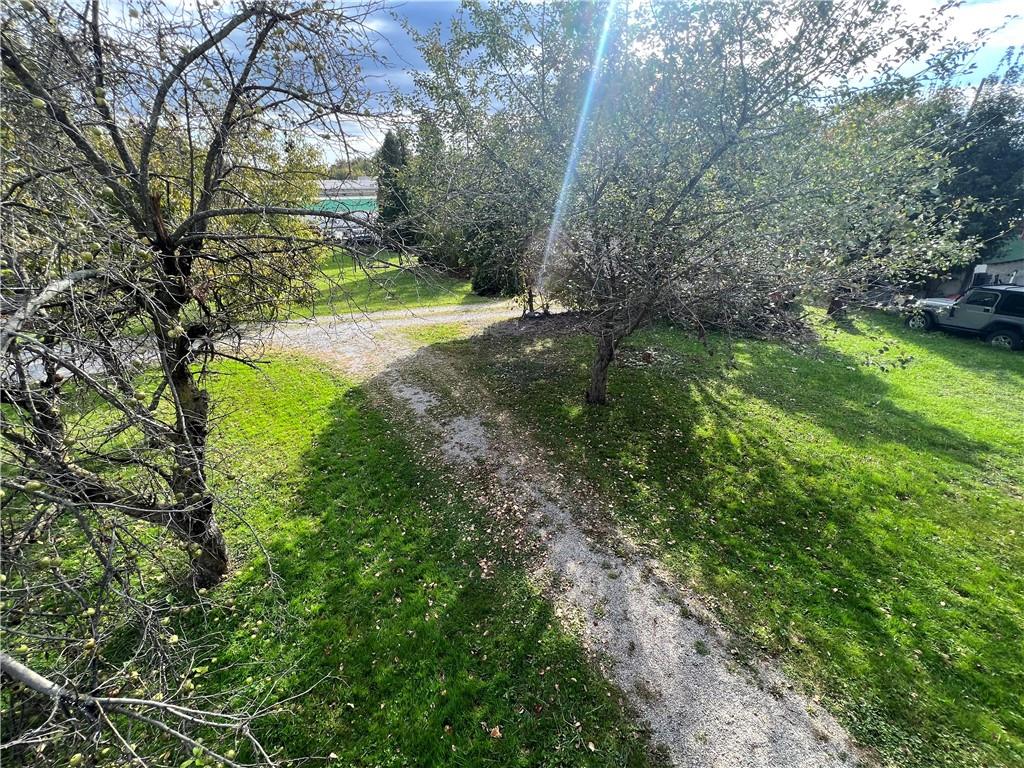 286 East Main Street Mount Pleasant, PA 15666 - Photo 27 of 30 a view of a yard with large trees