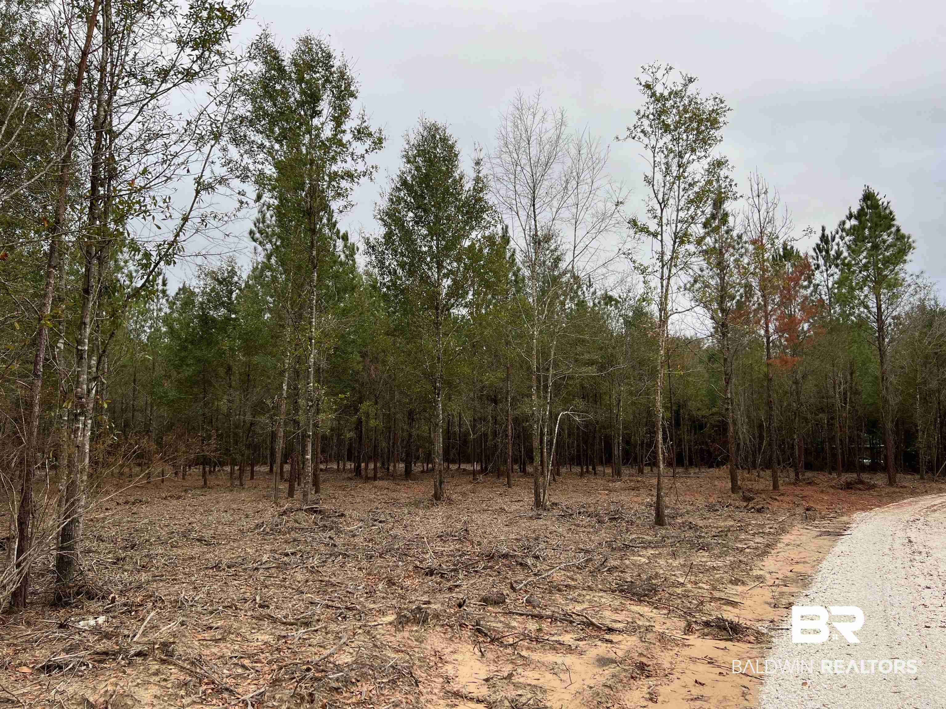 Lot#2 West Seminole Road Seminole, AL 36574 - Photo 13 of 15