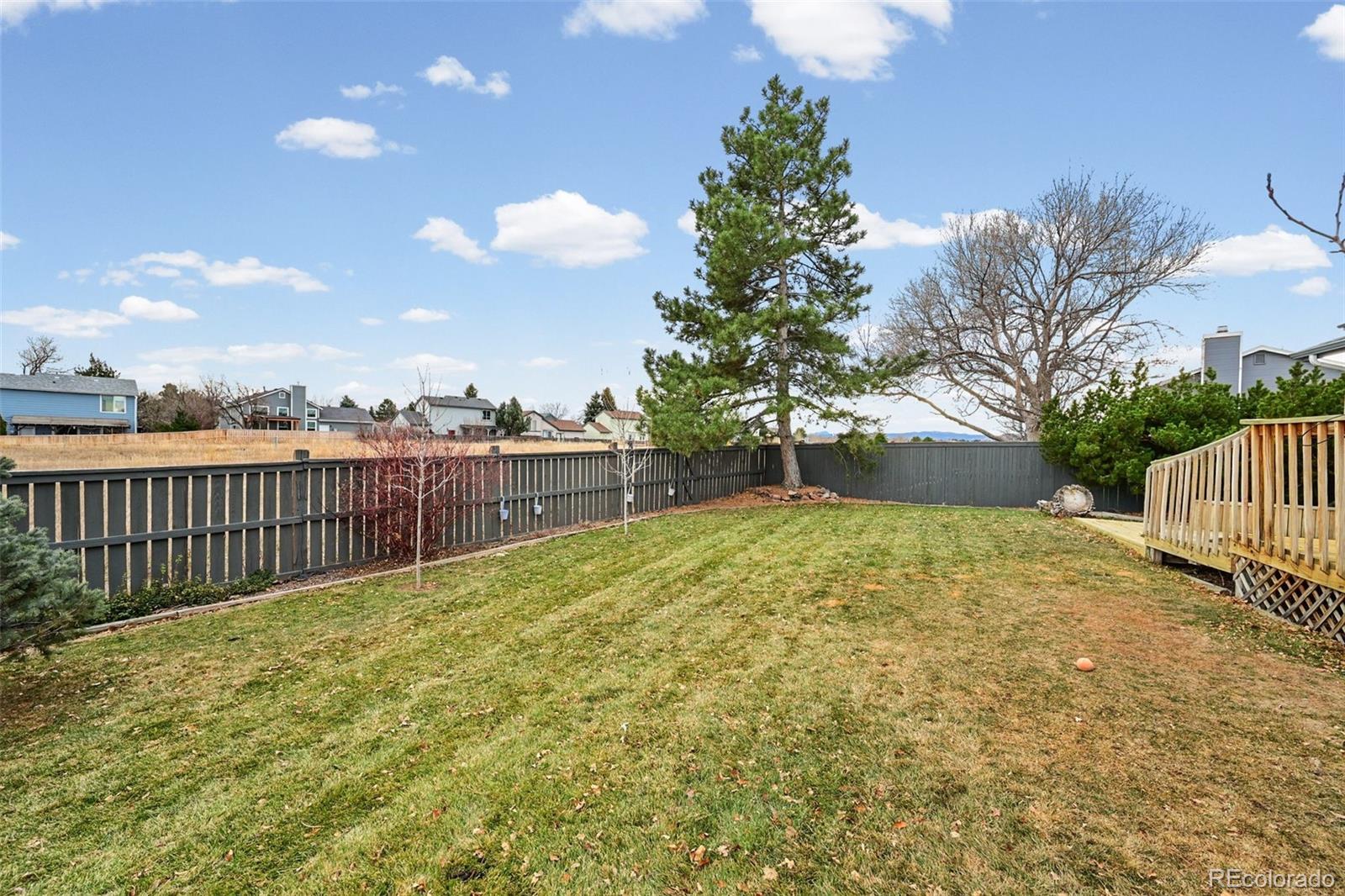 9170 Stargrass Circle Highlands Ranch, CO 80126 - Photo 5 of 39 a view of a yard with wooden fence