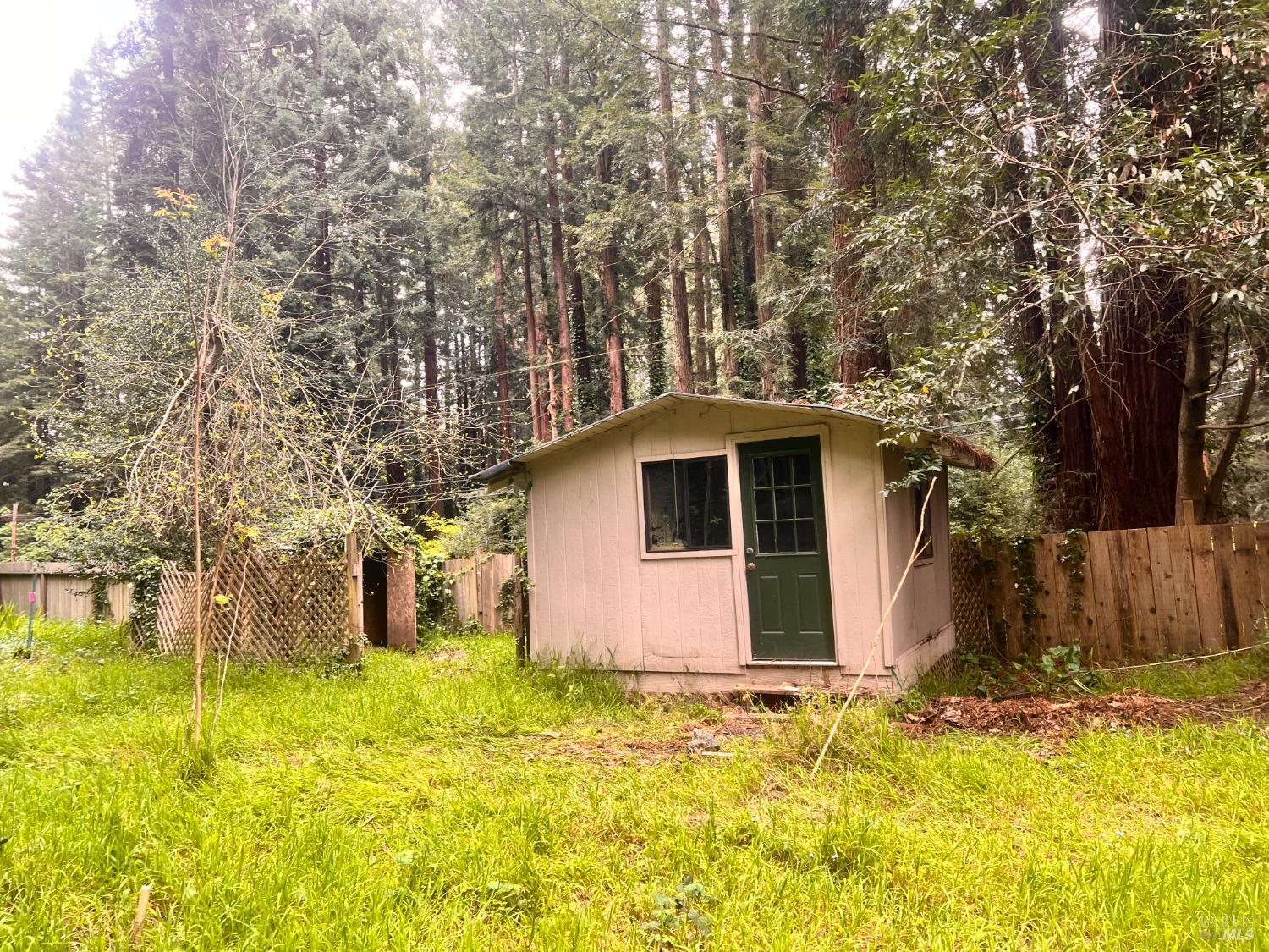 2300 Joy Road Occidental, CA 95465 - Photo 15 of 16 a view of a backyard with large trees